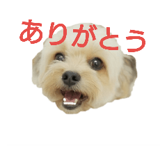 MOCO_20181208185843