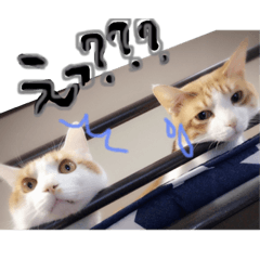 JASMINE_20181208184842