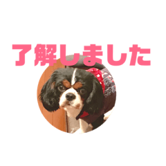 Yama_20181208234005