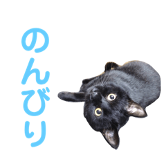 yukari_20181208134432