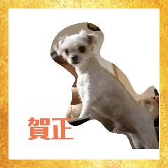 yuto_20181211164716