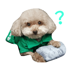 我最愛的曾俏妞