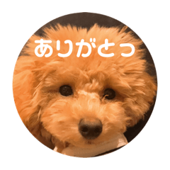 riku_430