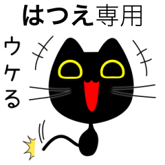 【はつえ】専用の黒猫です