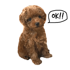 tomoyo_20181209222013