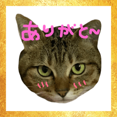 omochi_20181212084711