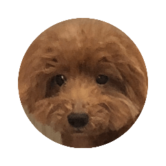 PUPPY.