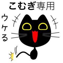 【こむぎ】専用の黒猫です