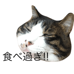 my_20181210214338
