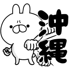 tanuchan okinawa rabbit2