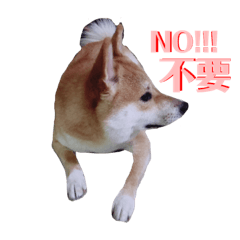 咪嚕寶寶