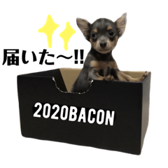 bacon_20181206235758