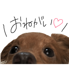 ちわぷーらいくん