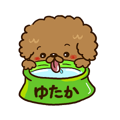 Yutaka special toy poo