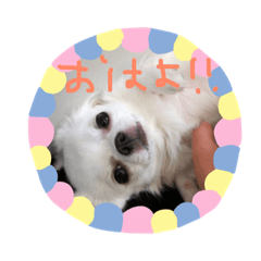 monmon_20181205231535