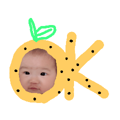 ponzupart1_20181206224542