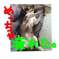 akari_20181211234533