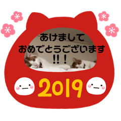 JASMINE_20181210133022