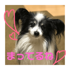 rie_20181212212655