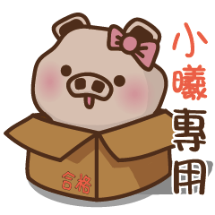 Yu Pig Name-HSI2