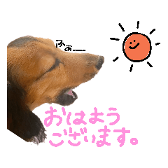 moka_20181210005426