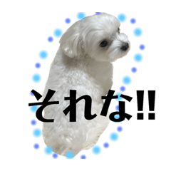 haruna_20181213001056