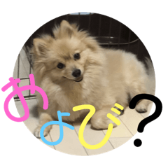ran_20181212160530