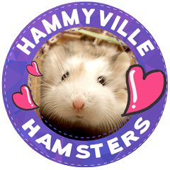 HammyVille 1: Cute and Fun Hamsters
