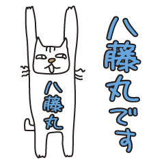 Only for Mr. Yatomaru Banzai Cat