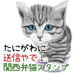 Tanigawa Kansaiben soushin cat