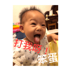 小乖的乖乖圖