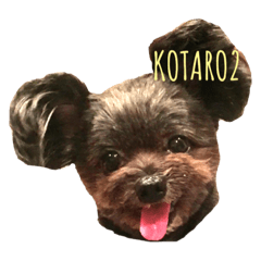 I'm Kotaro.2
