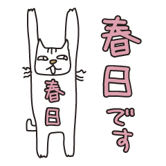 Only for Mr. Kasuga Banzai Cat