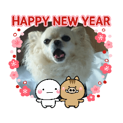 Asako_20181208005705
