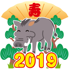 2019 NEW YEAR.Hot-blooded wild boar