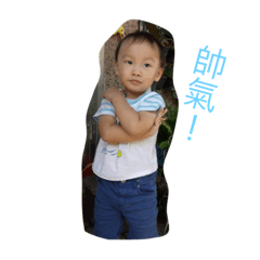 楊氏宗親