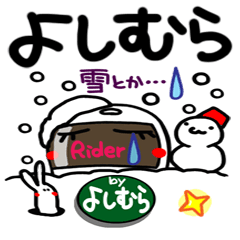 [yoshimura]rider reaction.