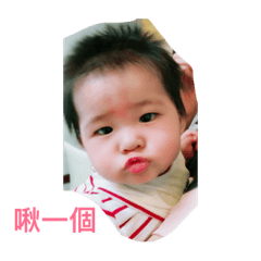 Miya 的日常