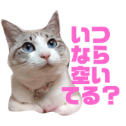 stickers for promise.