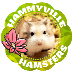 HammyVille 2 - Cute and Fun Pet Hamsters