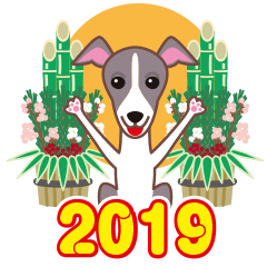 2019 NEW YEAR. Italian Greyhound.