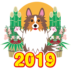 2019 NEW YEAR.Mild Shetland Sheepdog.