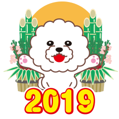2019 NEW YEAR. Bichon Frise.
