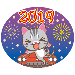 2019NEW YEAR American Shorthair