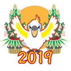 2019 NEW YEAR Sulphur-Crested Cockatoo