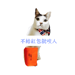 miu的生活日常