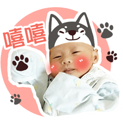 Lin Jia 3 Baby Diary