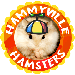 HammyVille 3: Super Cute Pet Hamsters