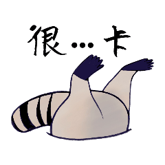 真摯的浣熊先生