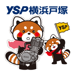 YSP横浜戸塚のレッサーパンダ『YSパンダ』